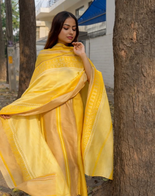 Lovely pure chanderi